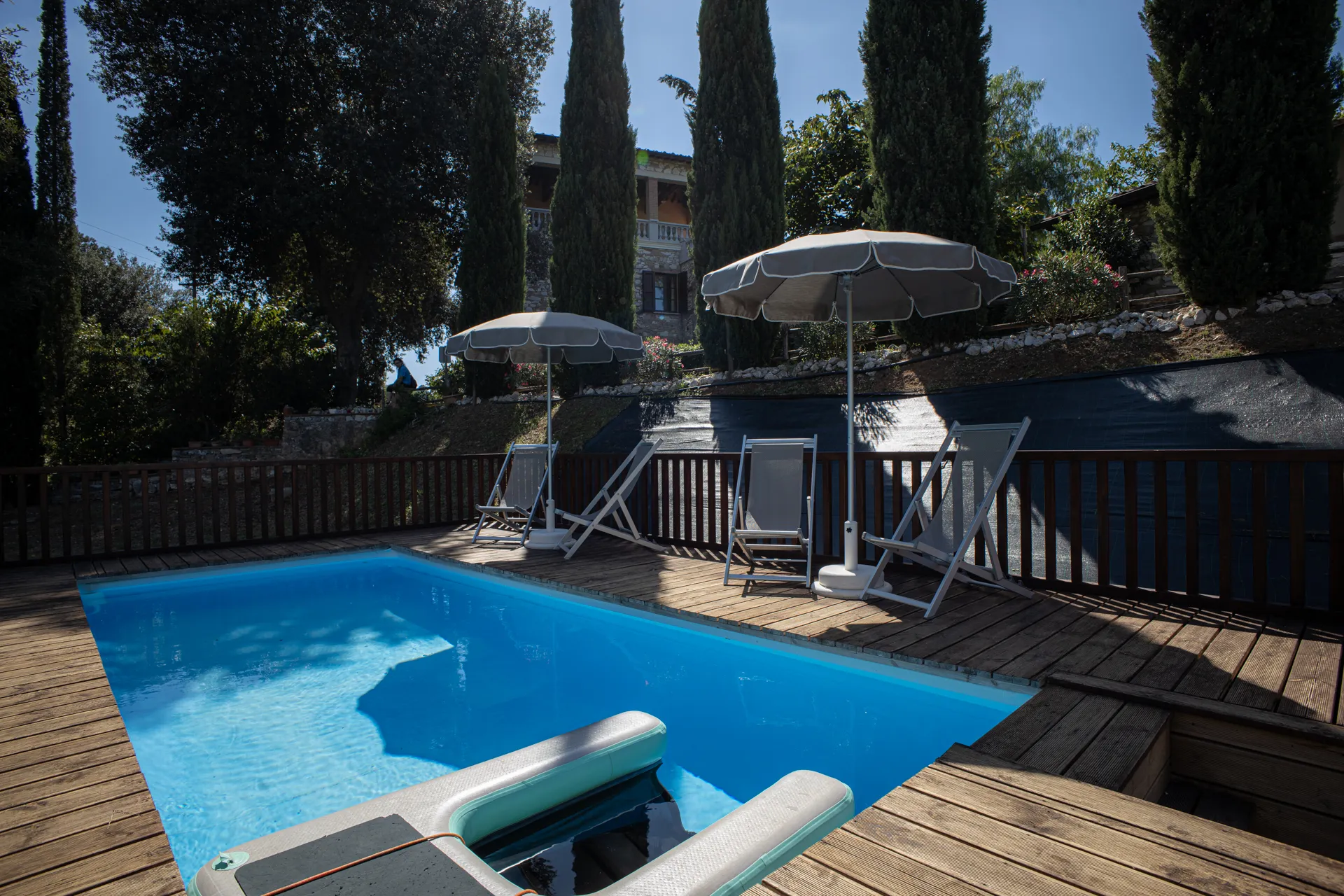The dog pool with its wooden sun deck
