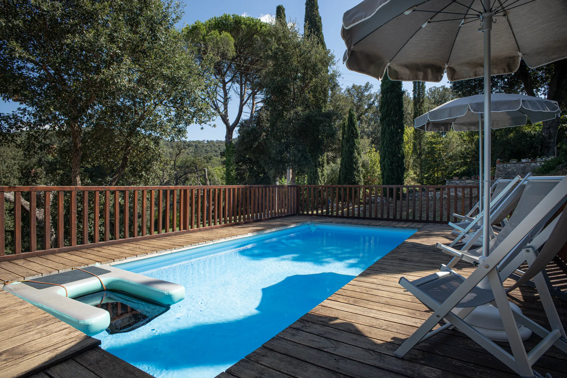 The dog pool among pines and cypresses