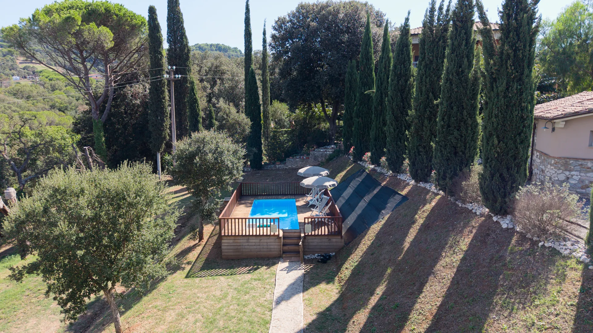 The dog pool from above, below the row of cypresses