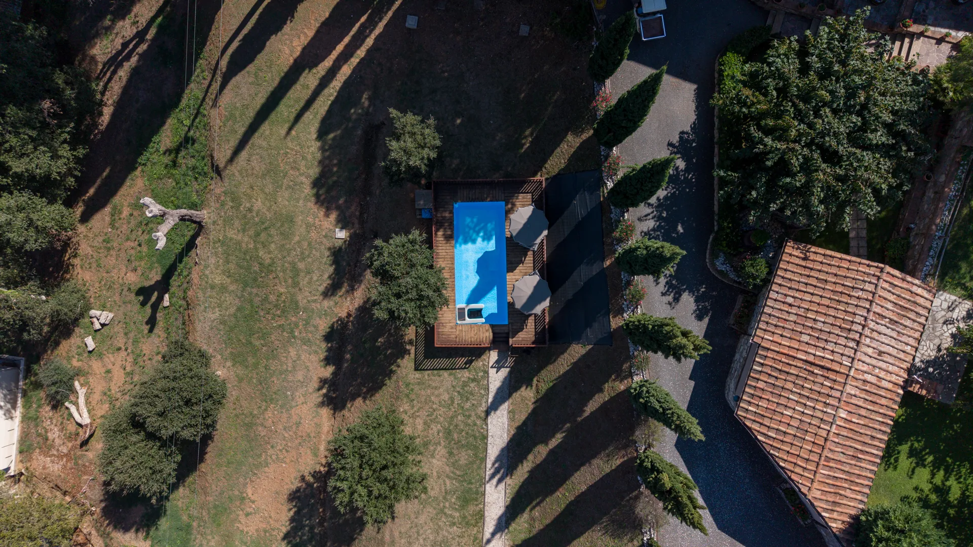 The dog pool seen from a drone, straight down