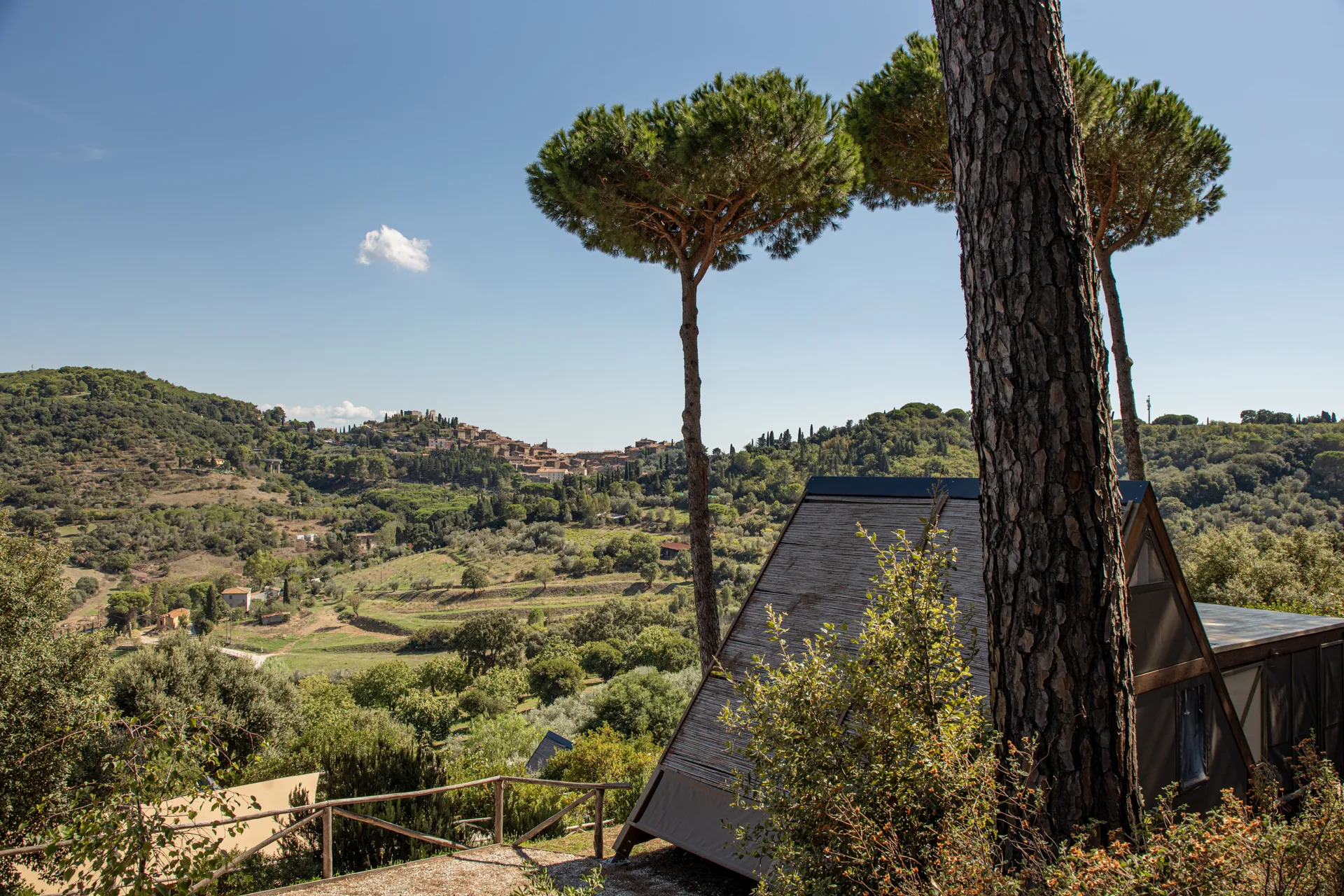 A glamping lodge among the pines, looking out over the village of Campiglia Marittima