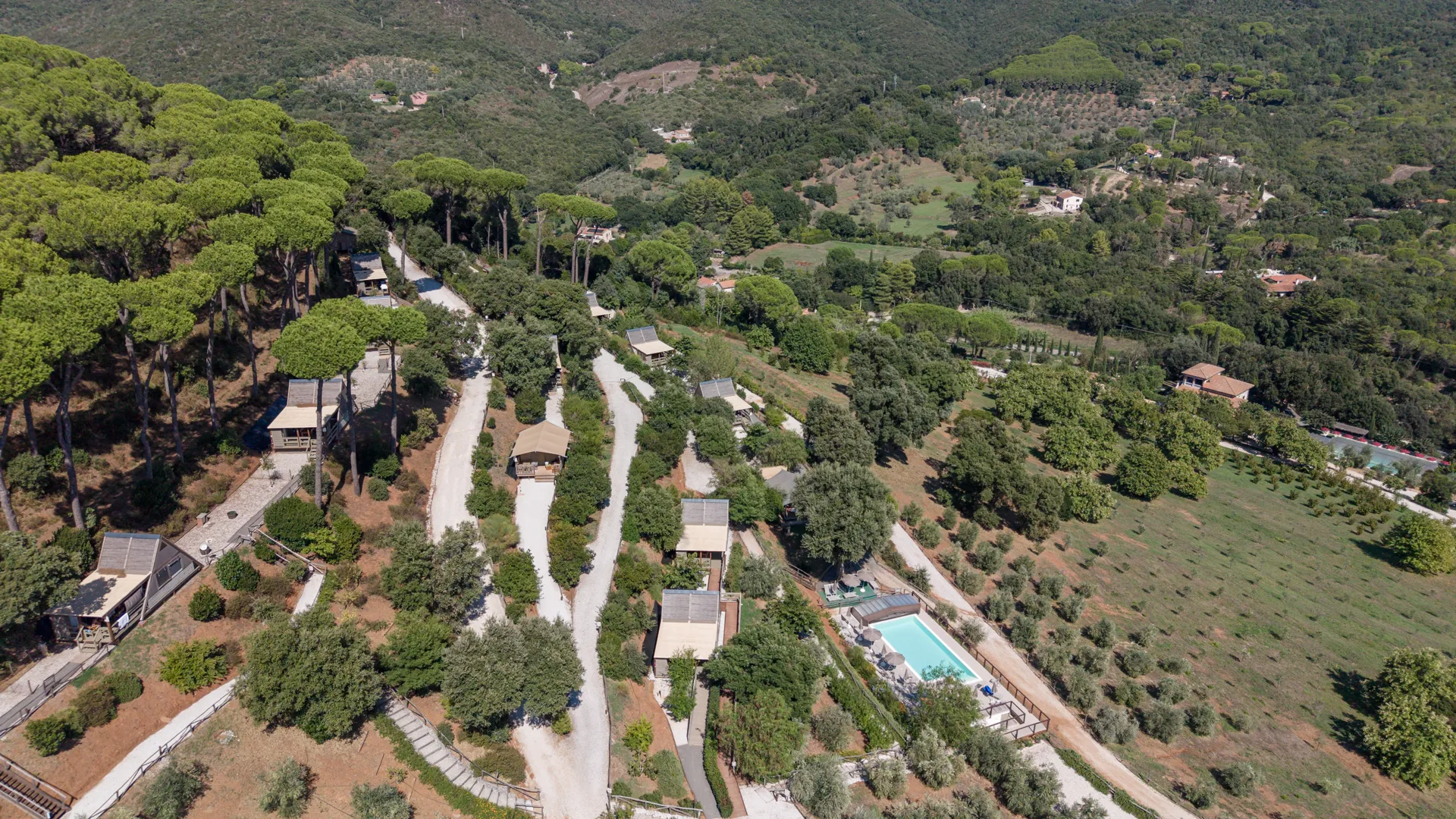The glamping paths among the olive trees