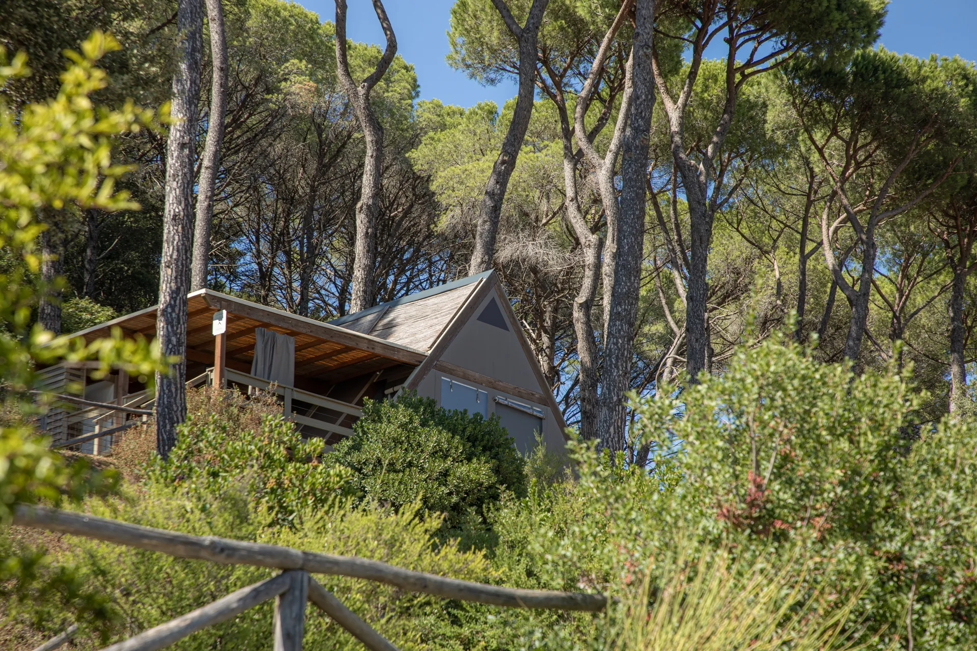 A lodge hidden among the pines