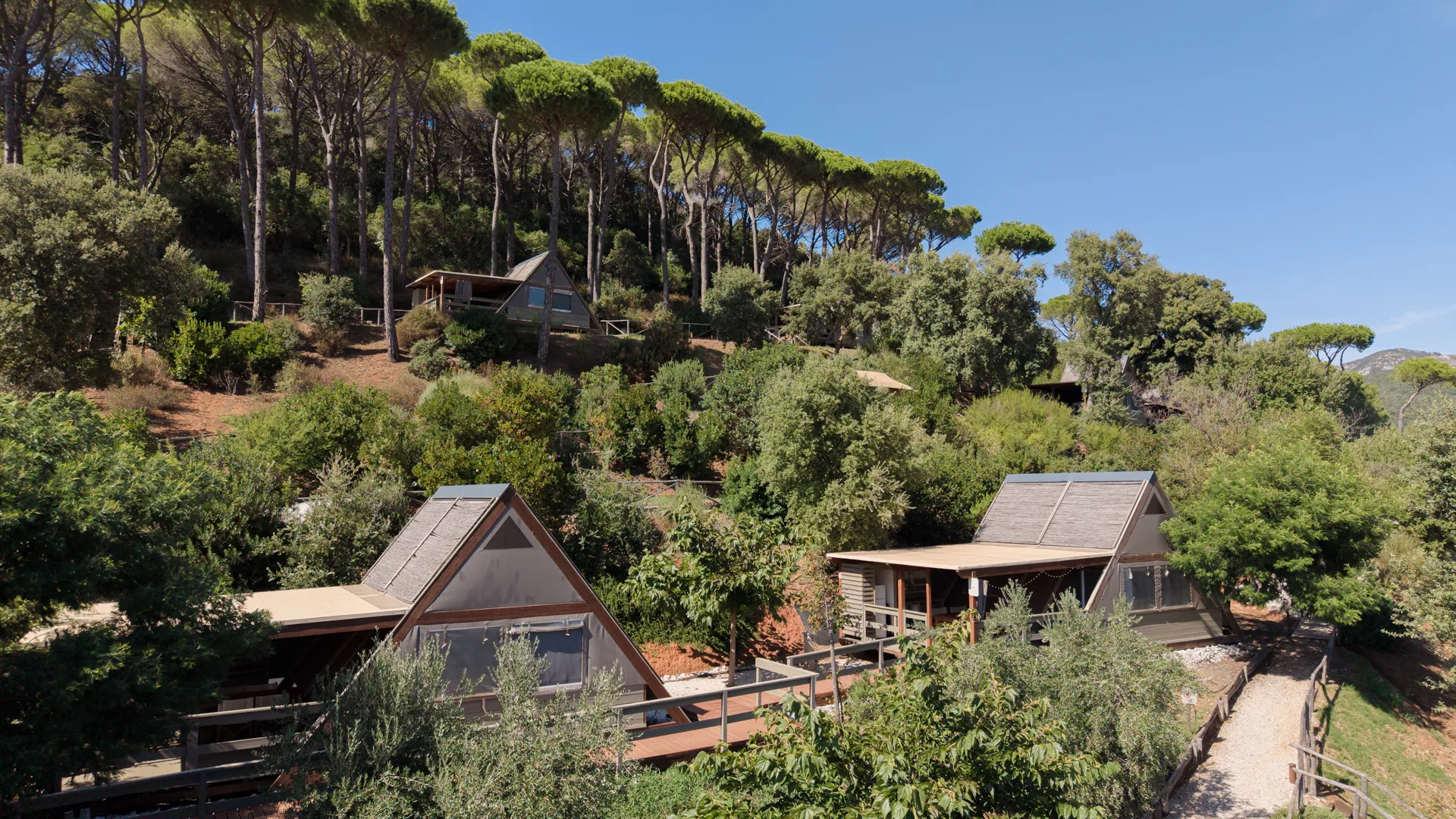 Two glamping lodges in the greenery, from above
