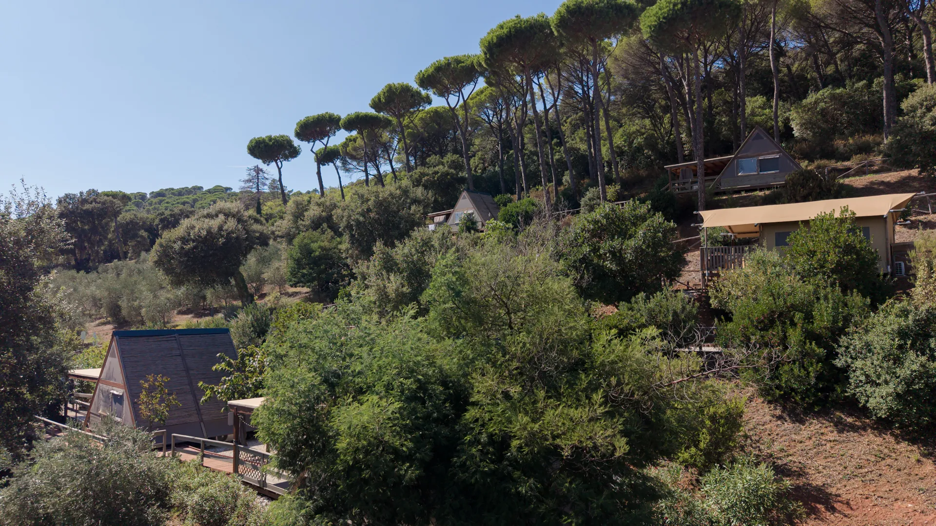 The lodges on the hillside, among holm oaks and pines