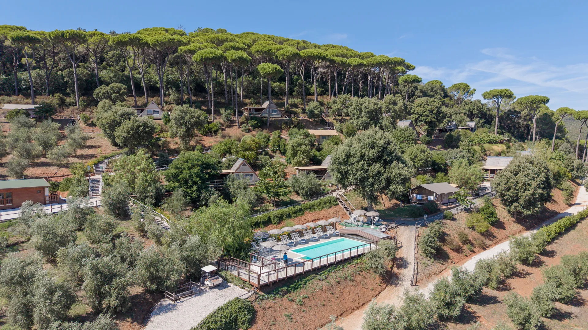 The pool and the lodges in the woods, from above